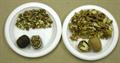 Juglans nigra